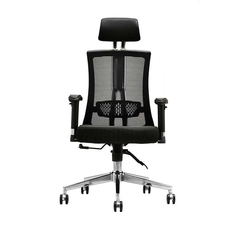 Ergonomic Chair